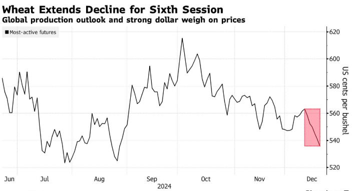 供应充足叠加美元走强 小麦价格面临6月以来最长跌势